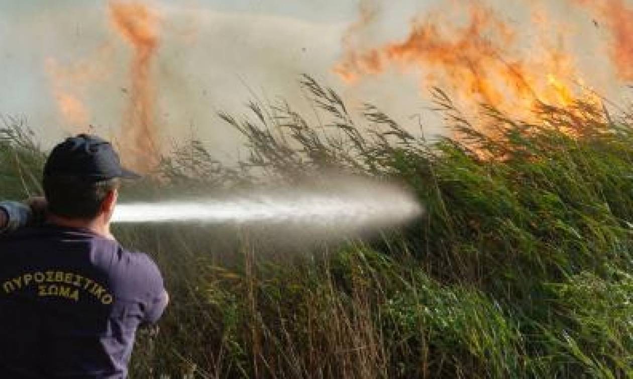 Τρία περίπου δεκάρια καλαμιώνα και ξηρά χόρτα έκαψε πυρκαγιά σε περιοχή του Δήμου Λιβαδιών