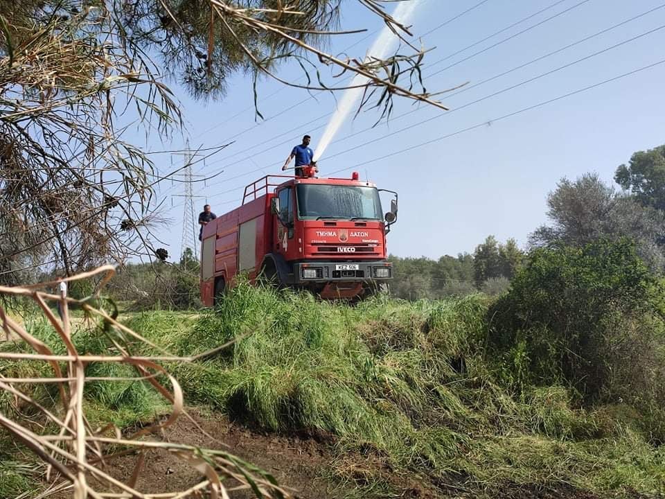 Υπό μερικό έλεγχο δασική πυρκαγιά στην Αραδίππου