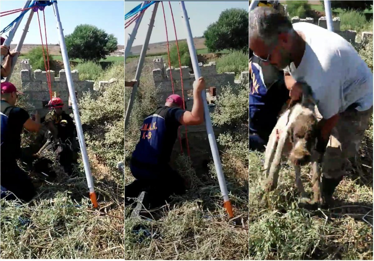 Σκύλος παγιδεύτηκε σε λάκκο 10 μέτρων στο Μαζωτό – Διασώθηκε από την ΕΜΑΚ (ΒΙΝΤΕΟ)