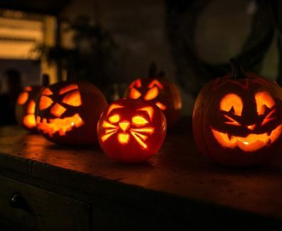 BublikHaus_Shutterstick