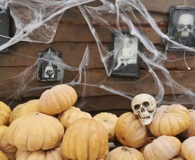 unknown_311344540_1339561563524618_8754657817148872307_n