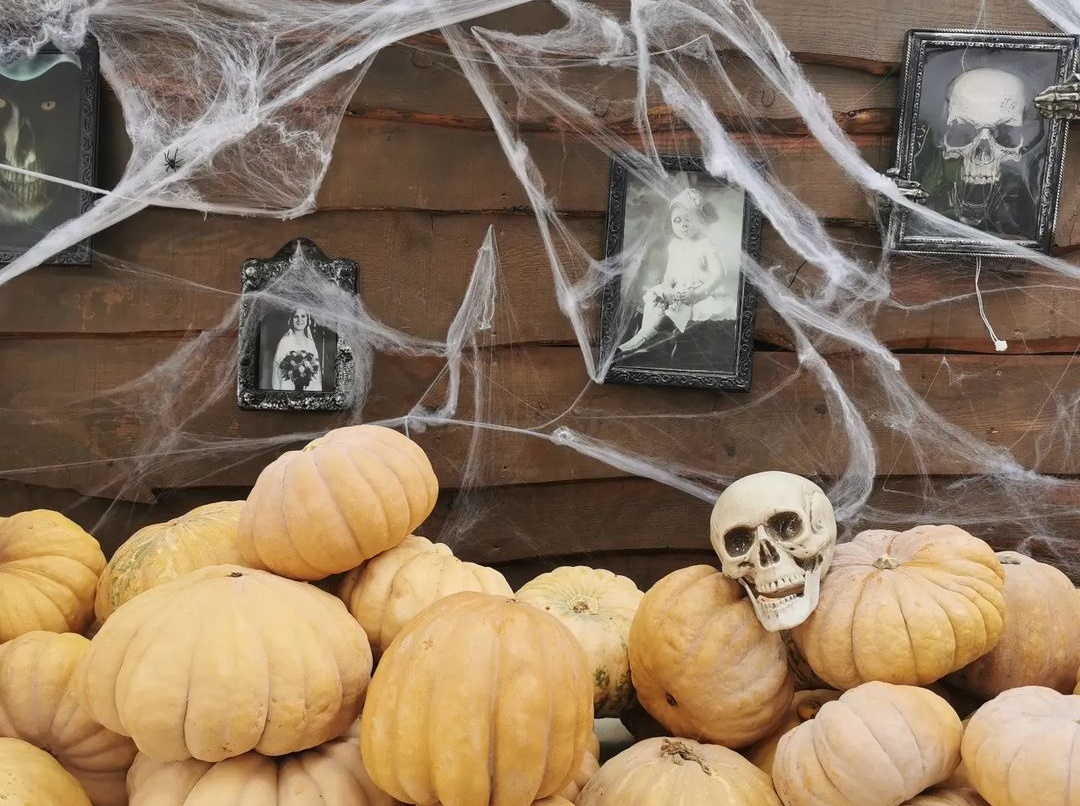 Αυτό το Halloween πάμε για σκάλισμα κολοκύθας σε ένα τρομακτικό λαβύρινθο!
