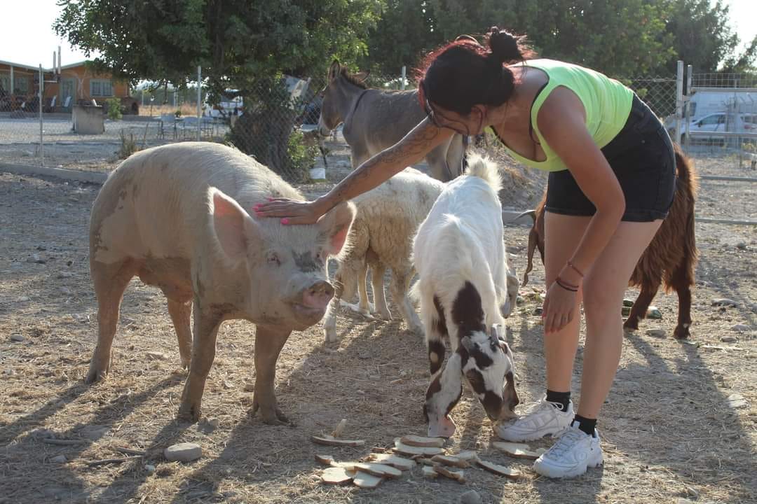 Ελάτε αυτό το Σάββατο στο Farm House στην Αραδίππου να γνωρίσετε τα ζώα που διασώθηκαν