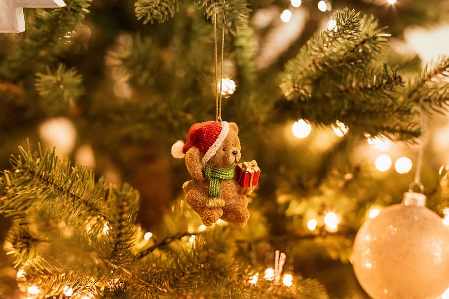 christmas-tree-bear-decoration-christmas