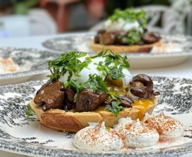 unknown_318478124_827954345106246_8647496547871620860_n