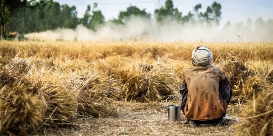 Θύματα εργασιακής εκμετάλλευσης από γεωργό νεαροί αλλοδαποί