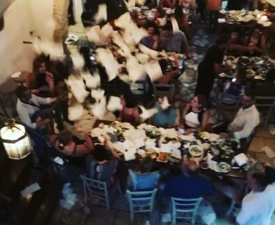 unknown_230786878_517121779398701_5378484443307448333_n