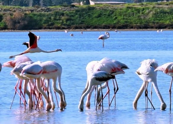 Η πρωινή ενημέρωση της ημέρας από τη Σκαλιώτισσα