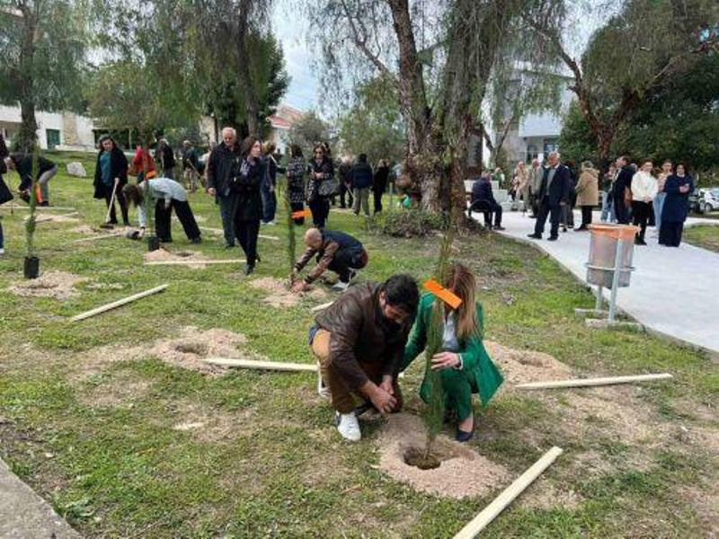 Λάρνακα: Δενδροφύτευση Κοινοτικού Συμβουλίου Αγκαστίνας στο Μνημείο Πεσόντων και Αγνοουμένων