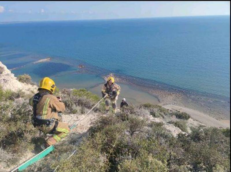 Επιχείρηση διάσωσης σκύλου στους γκρεμούς της παραλίας Ζαπάλο