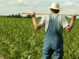 farmer-19050