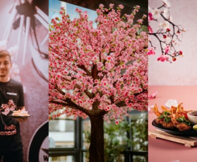 Processed with MOLDIV