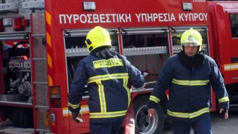 Θέματα αντιμετώπισης πυρκαγιών συζήτησαν ΓΔ Υπ. Γεωργίας με Ελληνες Πυροσβέστες