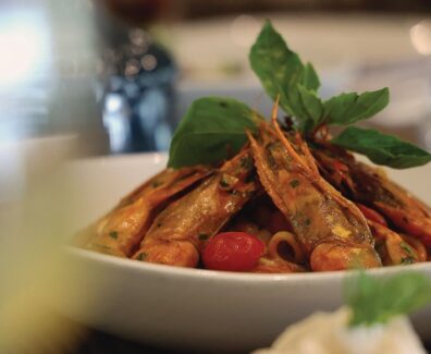 unknown_328628235_728428172290572_4760070061625656479_n