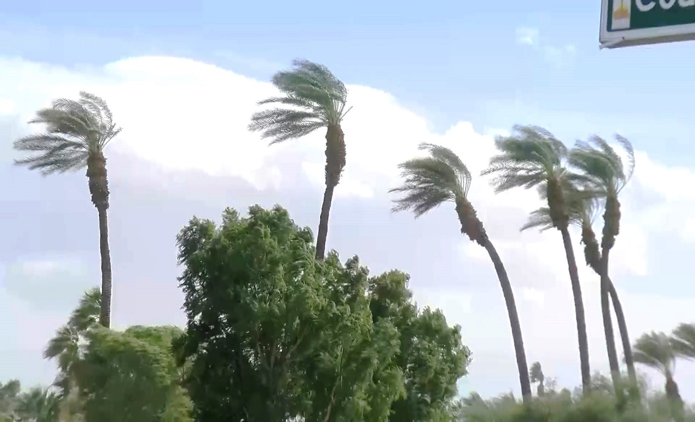 windy-