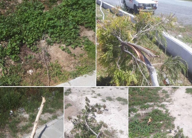 Χωρίς τίτλο