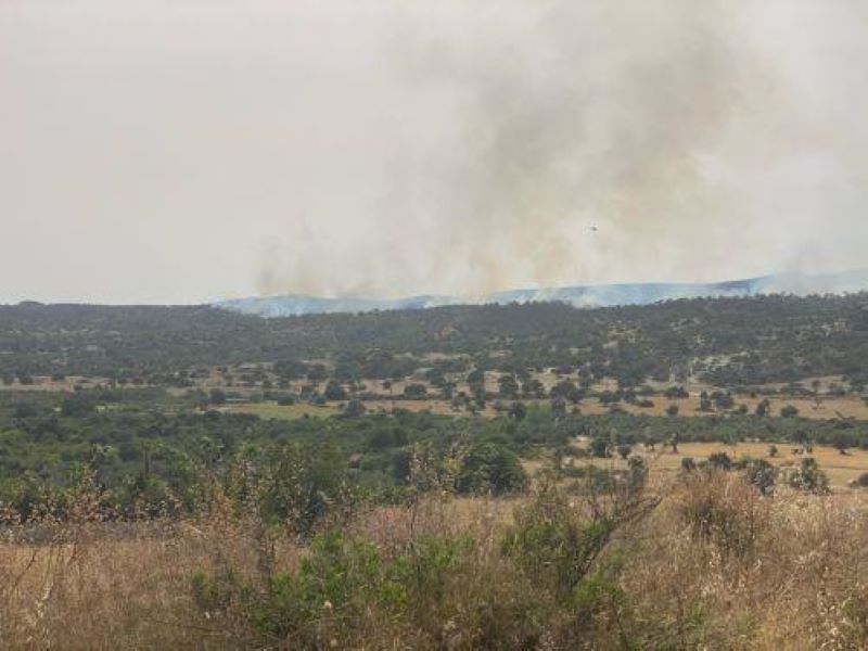 Στη μάχη κατά της φωτιάς στην επαρχία Λάρνακας η Πολιτική Αμυνα