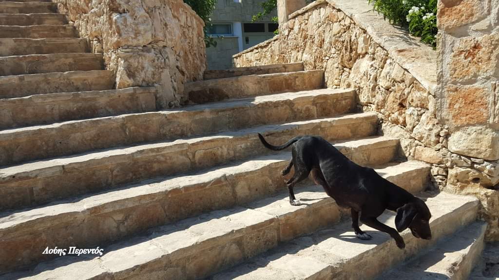 Ο κατήφορος δεν είναι πάντα πιο εύκολος από τον ανήφορο