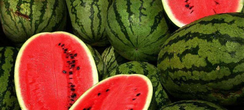 Watermelons.jpg