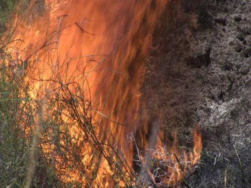 Σε εξέλιξη η πυρκαγιά στον Κάθηκα – Επιτόπου Υπ. Γεωργίας – Δ/ντής Τμ. Δασών
