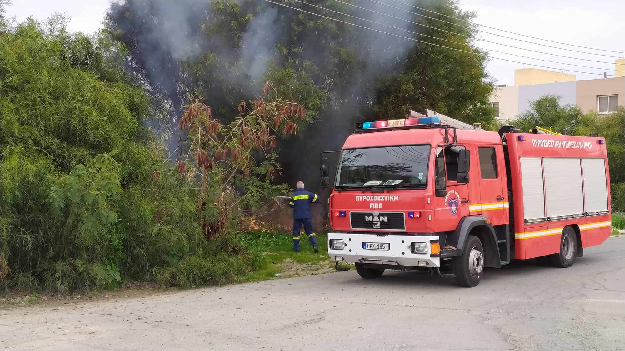 Σε κινητοποίηση η Πυροσβεστική: Πυρκαγιά σε καλαμιώνα στην κοινότητα Αλαμινός