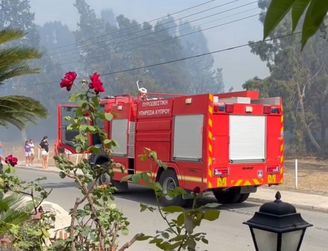 Σωτήρια η επέμβαση των δασοπυροσβεστών σε πυρκαγιά στην αλυκή Λάρνακας