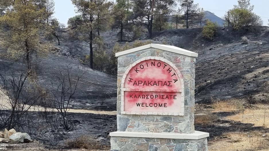 Στη φυλακή για οκτώ χρόνια ο 69χρονος για τη φονική πυρκαγιά στον Αρακαπά