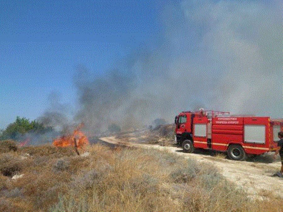 Υπό πλήρη έλεγχο πυρκαγιά που ξέσπασε πλησίον της Κοινότητας Αλεθρικού