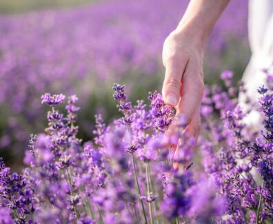 Close,Up,On,Hand,Of,Happy,Young,Woman,In,White