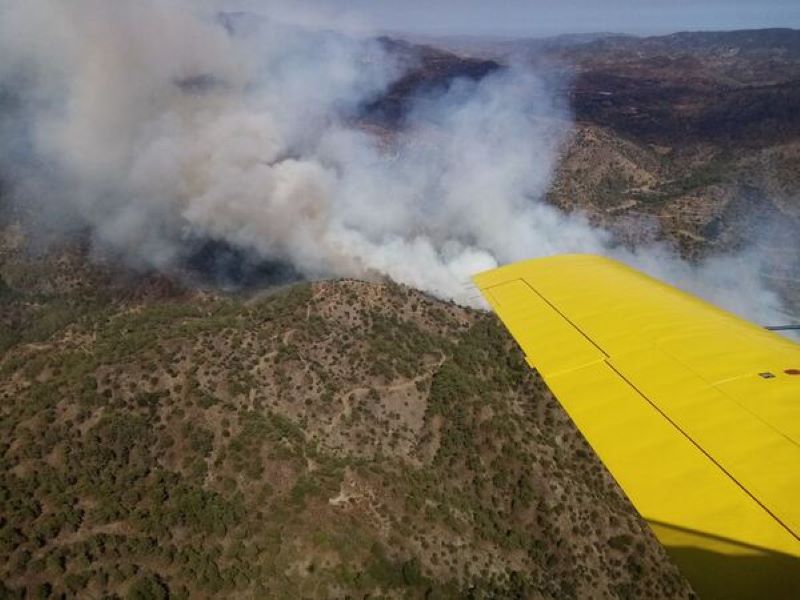 Σε ύφεση η φωτιά, παραμένει ο κίνδυνος δηλώνει ο διευθυντής του Τμήματος Δασών