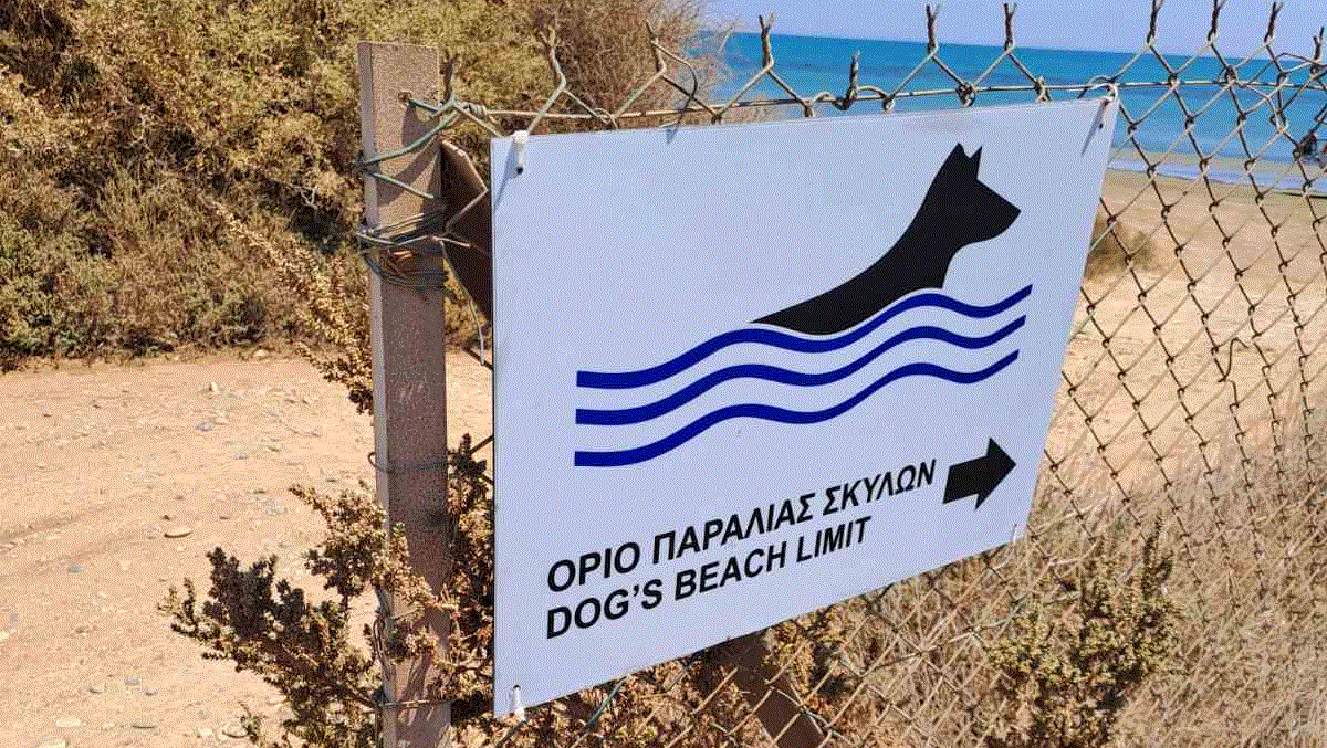 Ο Δήμος Λάρνακας καλεί το κοινό να τηρεί τους κανονισμούς στην παραλία σκύλων