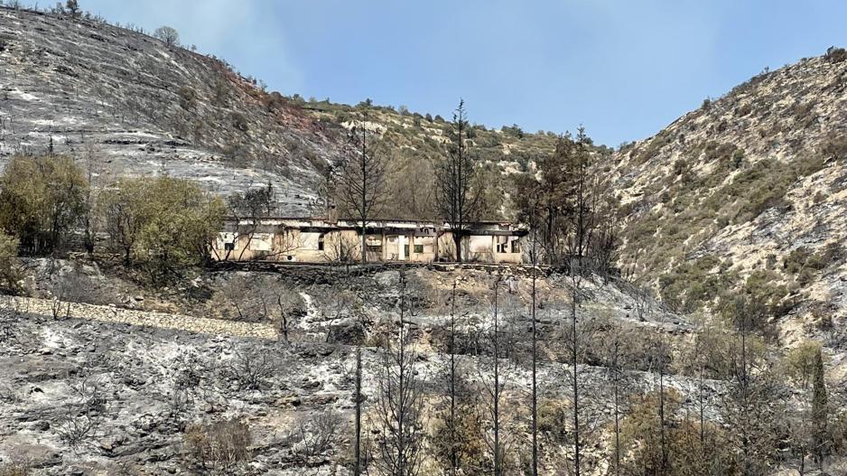 Παθογένειες στη διαχείριση δασικών πυρκαγιών εντοπίζει η ΟΠΟΚ