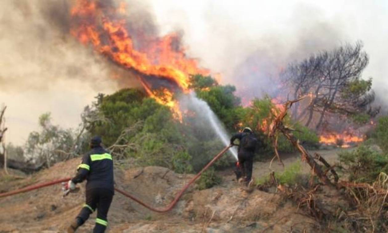 Κόκκινος Συναγερμός για κίνδυνο δασικών πυρκαγιών σήμερα Παρασκευή