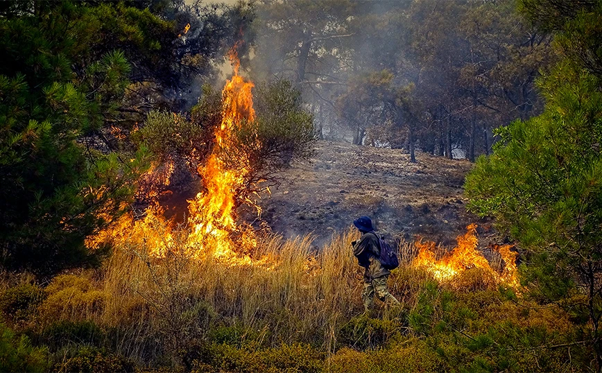 Σε 135.000 στρέμματα υπολογίζει το Παν.Αθηνών το καμένο δάσος στη Ρόδο