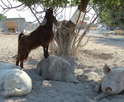 283798371_131625046183503_7782303892920428826_n