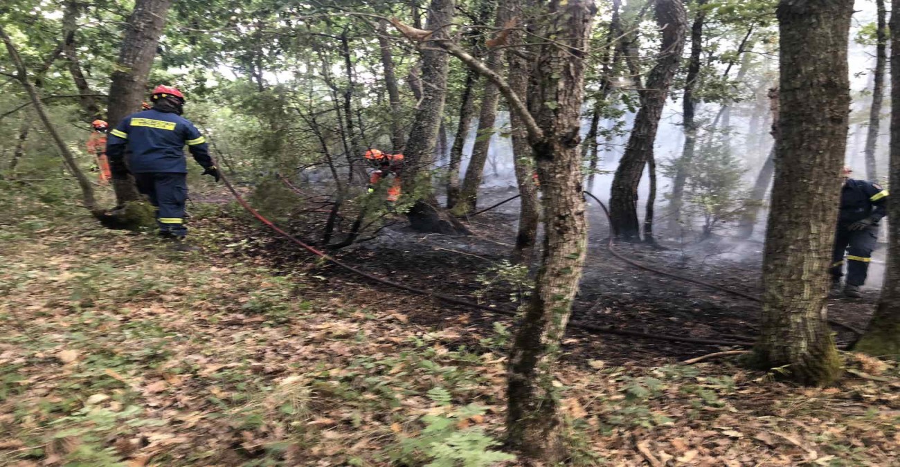 Στo δάσος Δαδιάς δραστηριοποιείται η κυπριακή αποστολή στην Ελλάδα