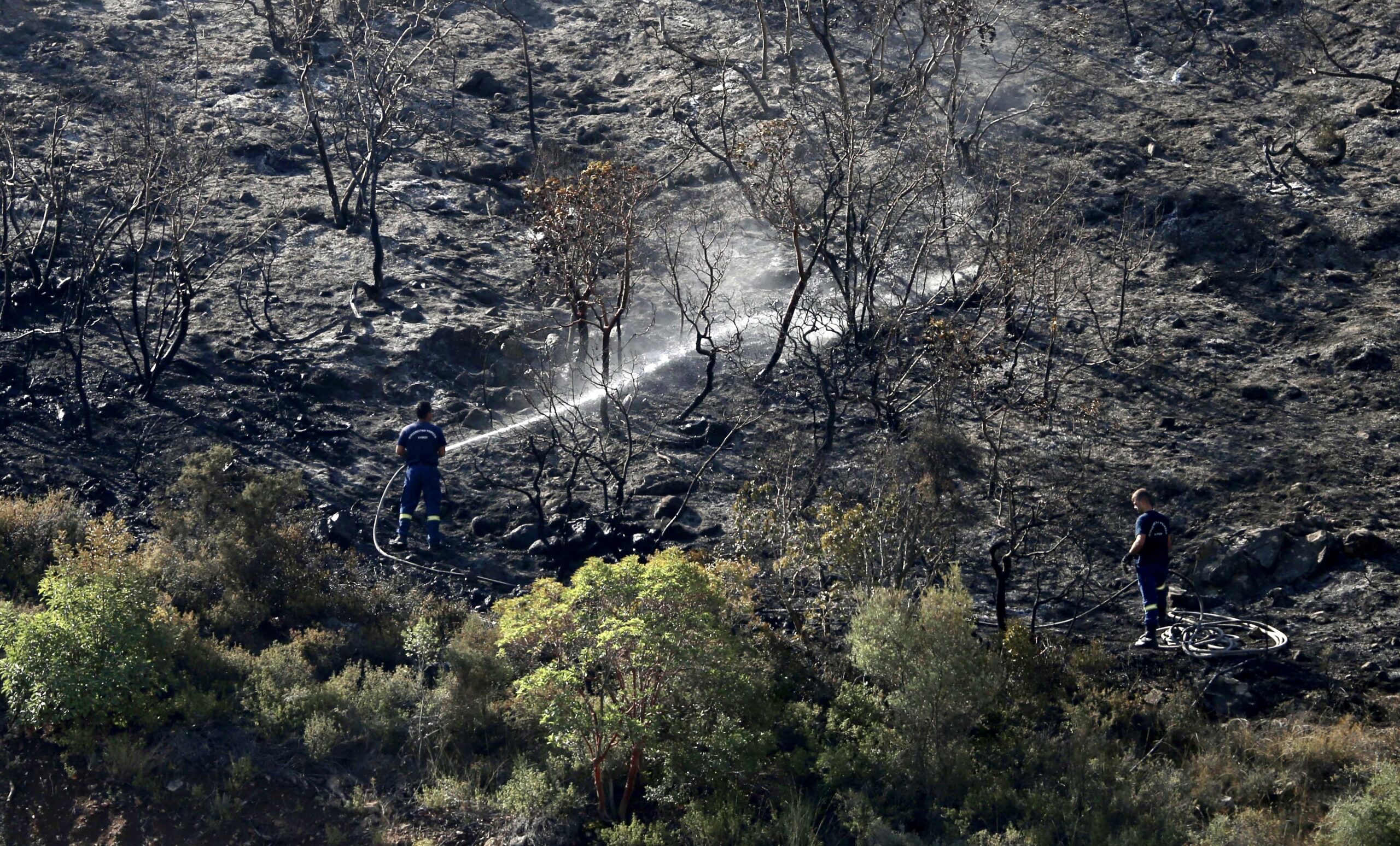 Χάθηκαν 8 τετραγωνικά χλμ δάσους στη Λεμεσό, μαρτυρία «δείχνει» εμπρησμό