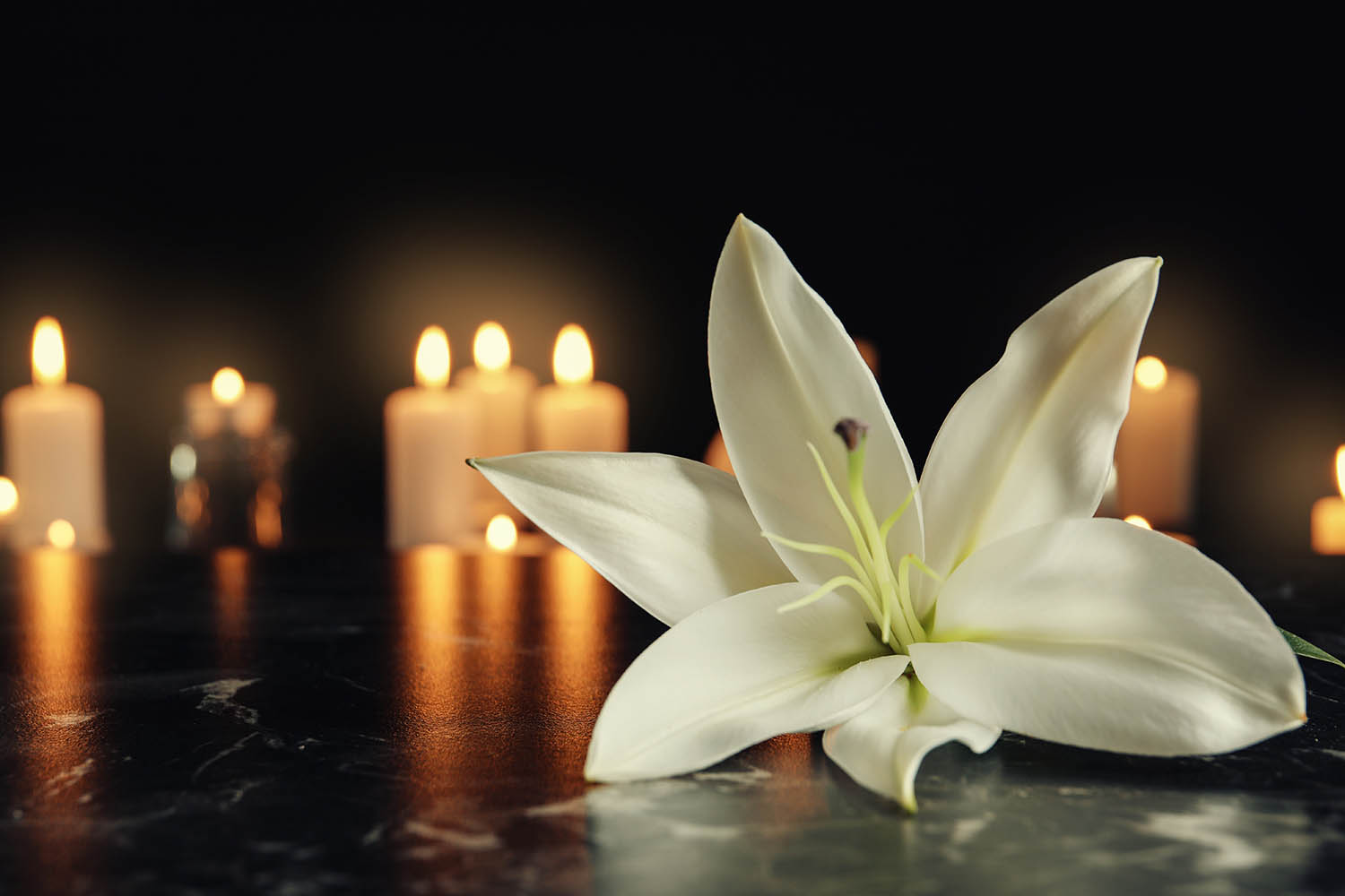 White,Lily,And,Blurred,Burning,Candles,On,Table,In,Darkness,