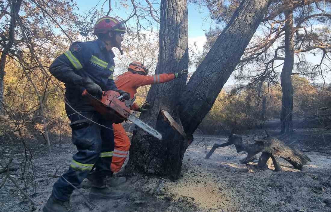 Κυπριακή αποστολή: Σαφώς καλύτερη η κατάσταση στην περιοχή Έβρου