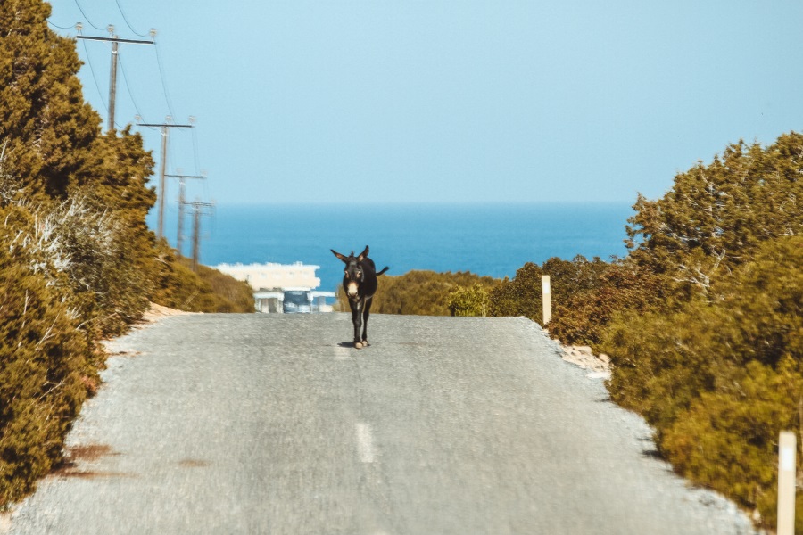 Ξεκινά επέκταση δρόμου που συνδέει το Ριζοκάρπασο με τον Απόστολο Ανδρέα