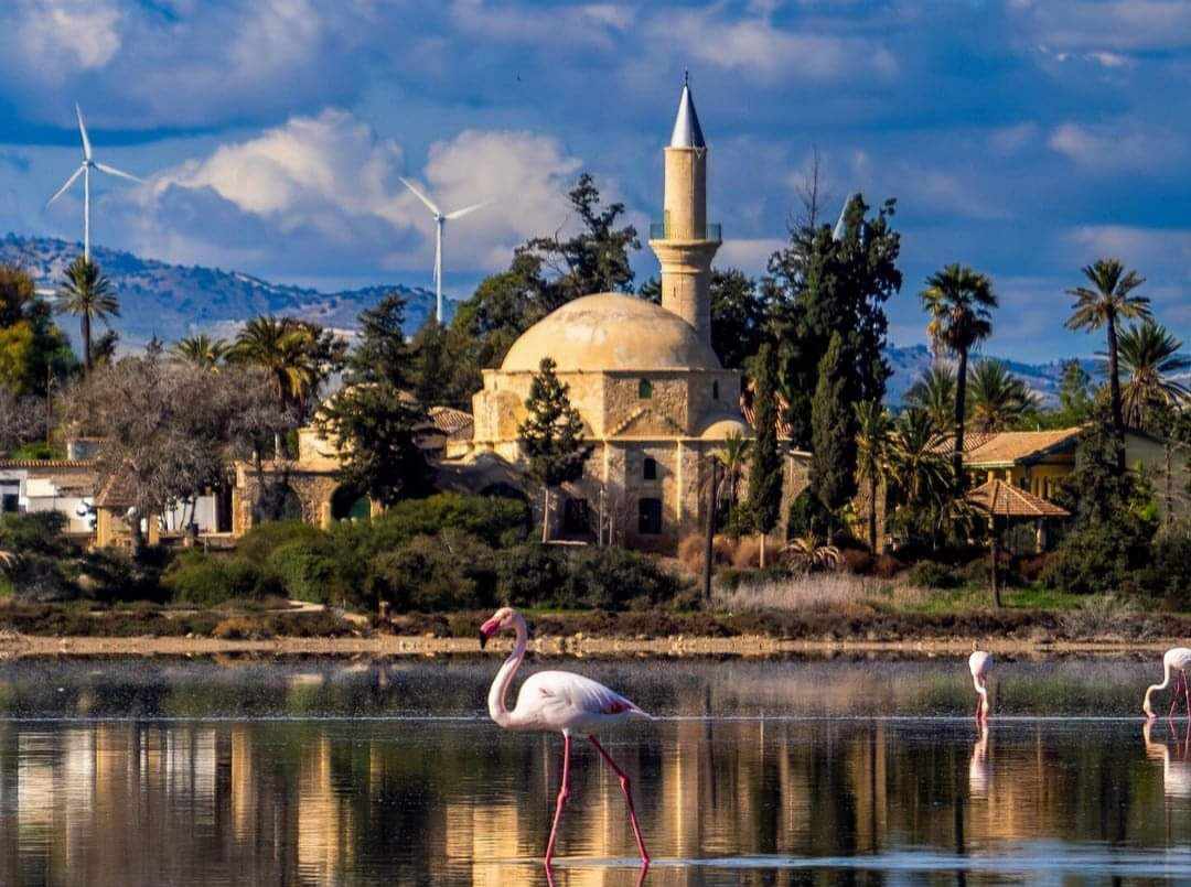 Η πρωινή ενημέρωση της ημέρας από τη Σκαλιώτισσα