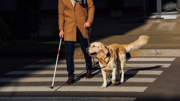 Αύξηση Χορηγίας προς τυφλούς και Επιδόματος Βαριάς Κινητικής Αναπηρίας λόγω ΔΤΚ