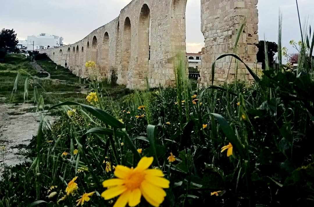 Η πρωινή ενημέρωση της ημέρας από τη Σκαλιώτισσα