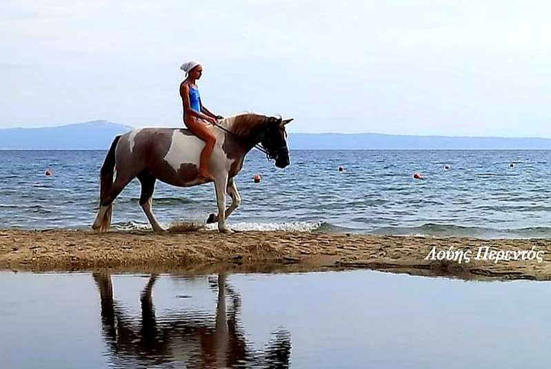 Η πόλη μας με τις ομορφιές της και τις εκπλήξεις της μας ξαφνιάζει καθημερινά !!!!