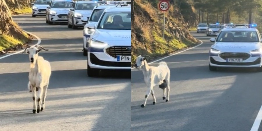 c7f3424b13a3618d64e4f53e43ffe370