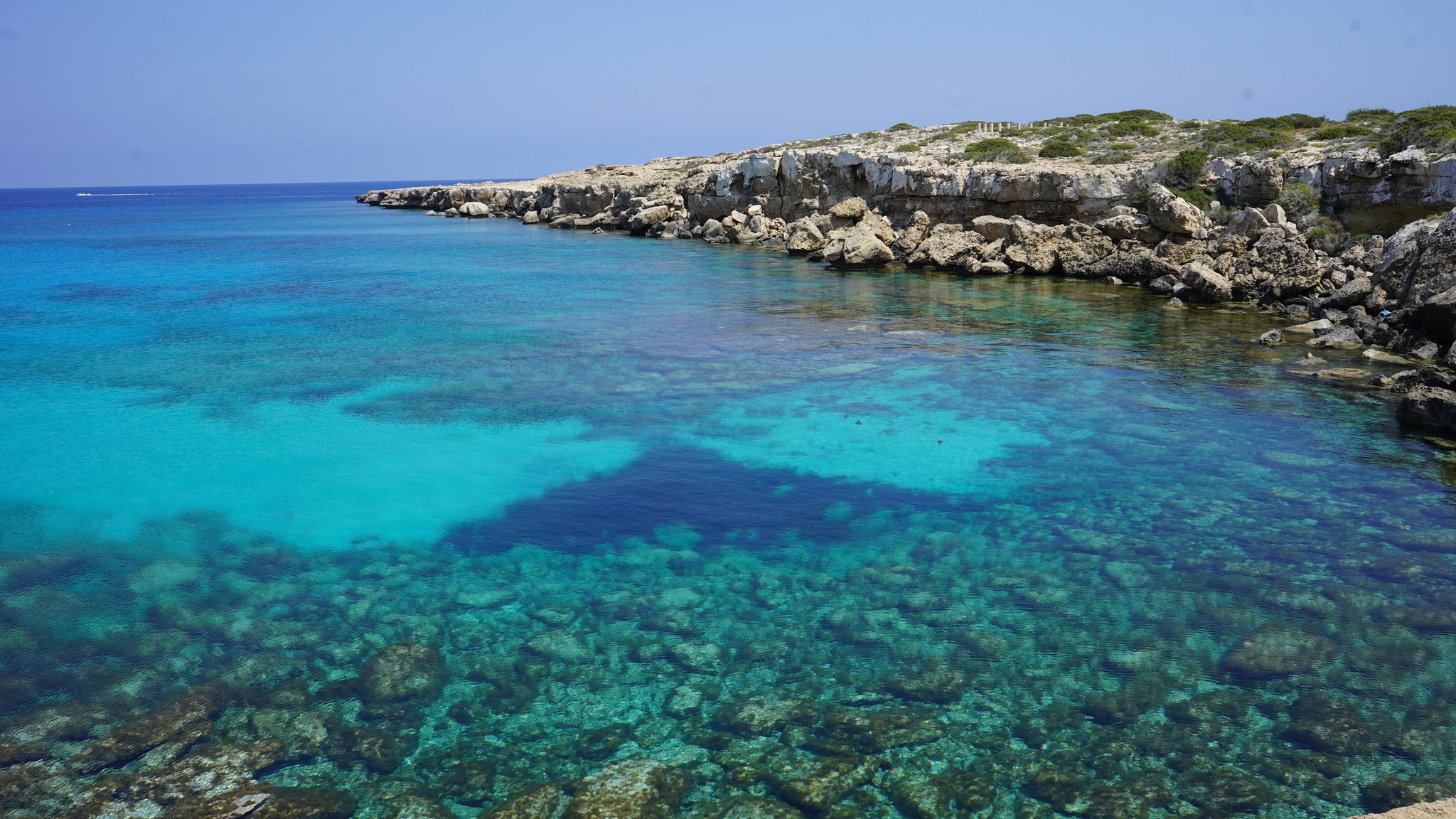 Τεράστια σουπιοκαλάμαρα κυνηγούσαν μέρα μεσημέρι στο Κάβο Γκρέκο (φώτο)