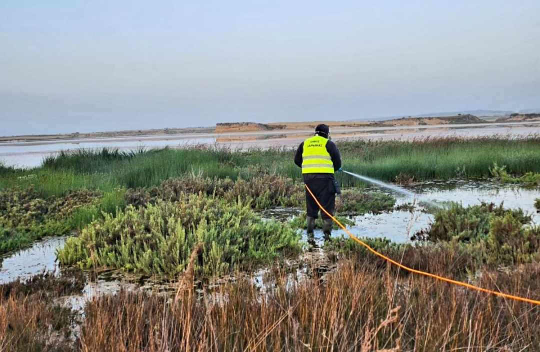 Συνεχίζονται οι ψεκασμοί κατά των κουνουπιών στη Λάρνακα  (φώτο)