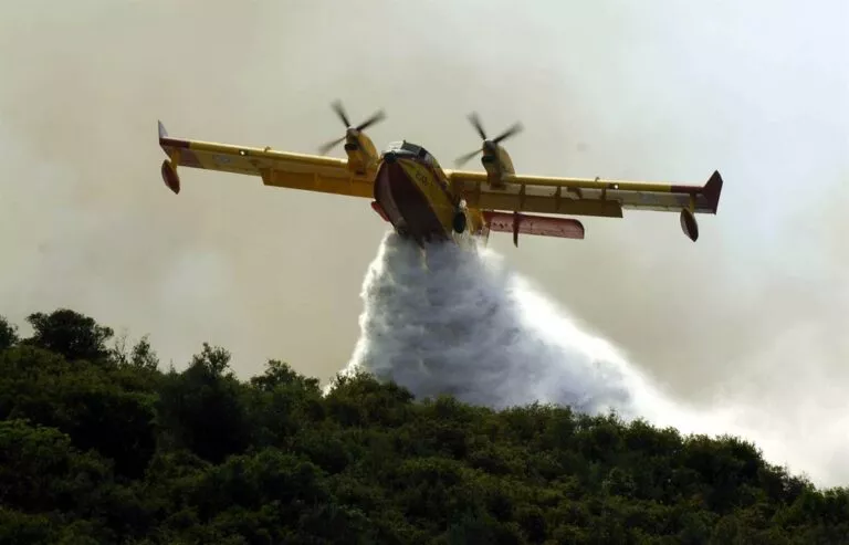 Σε πλήρη ενεργοποίηση το Τμήμα Δασών για πυρκαγιές, είπε η Υπουργός Γεωργίας