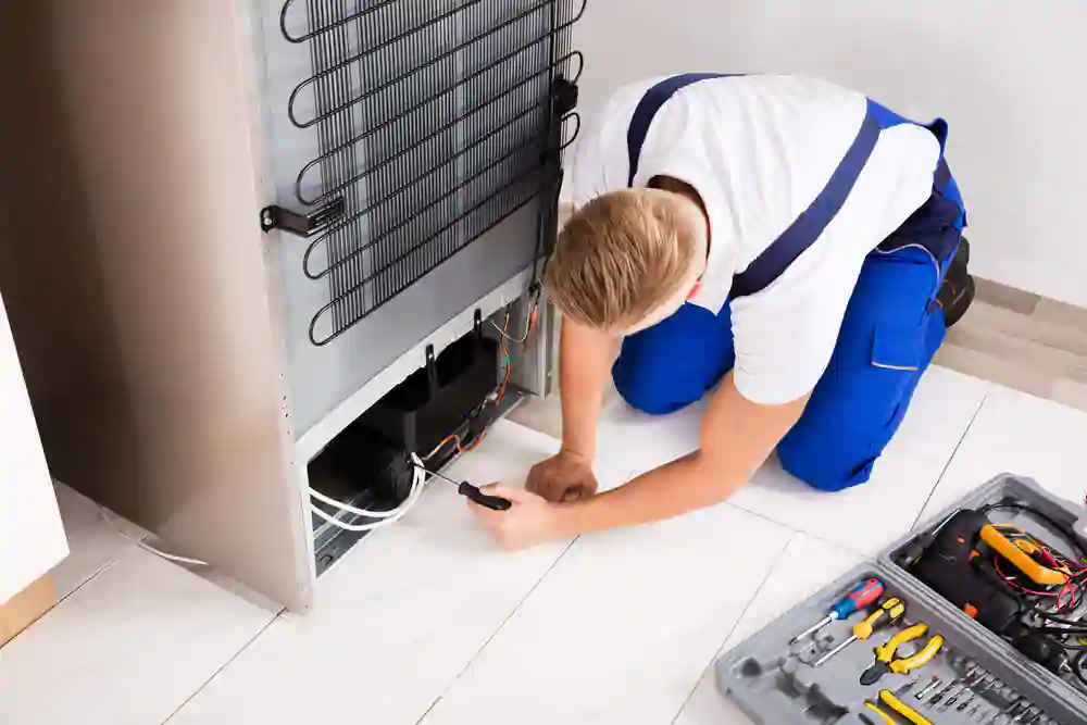 default-refrigerator-repair-and-services-6 (1)