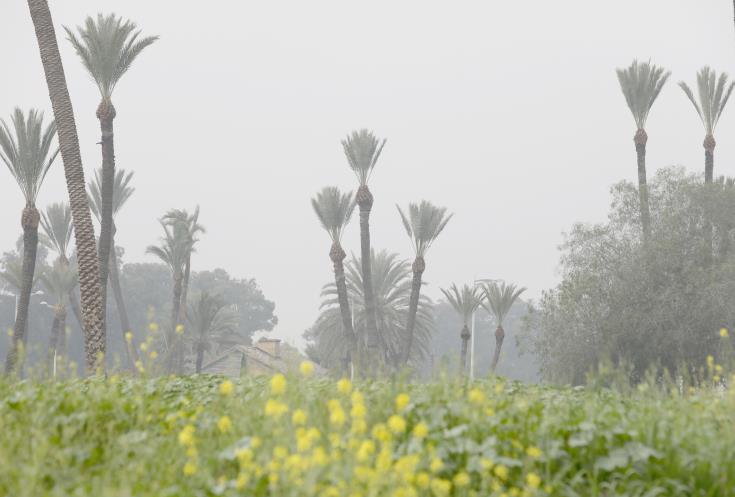 Πνιγμένη στη σκόνη η Κύπρος, δεν αποκλείονται βροχές και καταιγίδες